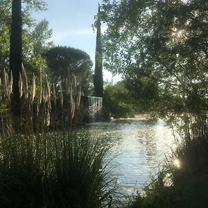 https://studio-cabine-aux-hameaux-de-camargue.fr-provencehotel.com